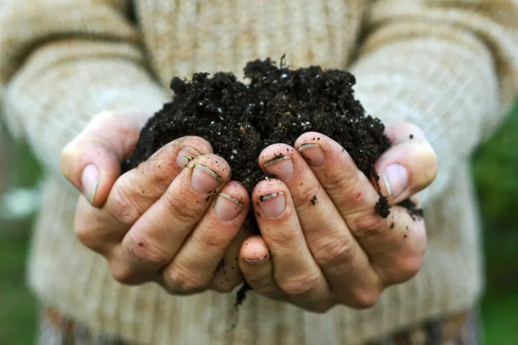 Come preparare un compost naturale efficace con gli scarti di cucina: guida pratica Come preparare un compost naturale efficace con gli scarti di cucina: guida pratica