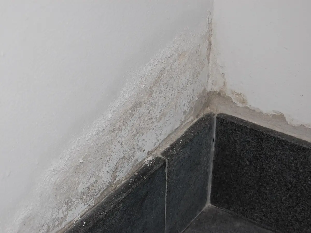 Attenzione al livello di umidità in casa: come tenerlo sotto controllo Attenzione al livello di umidità in casa: come tenerlo sotto controllo