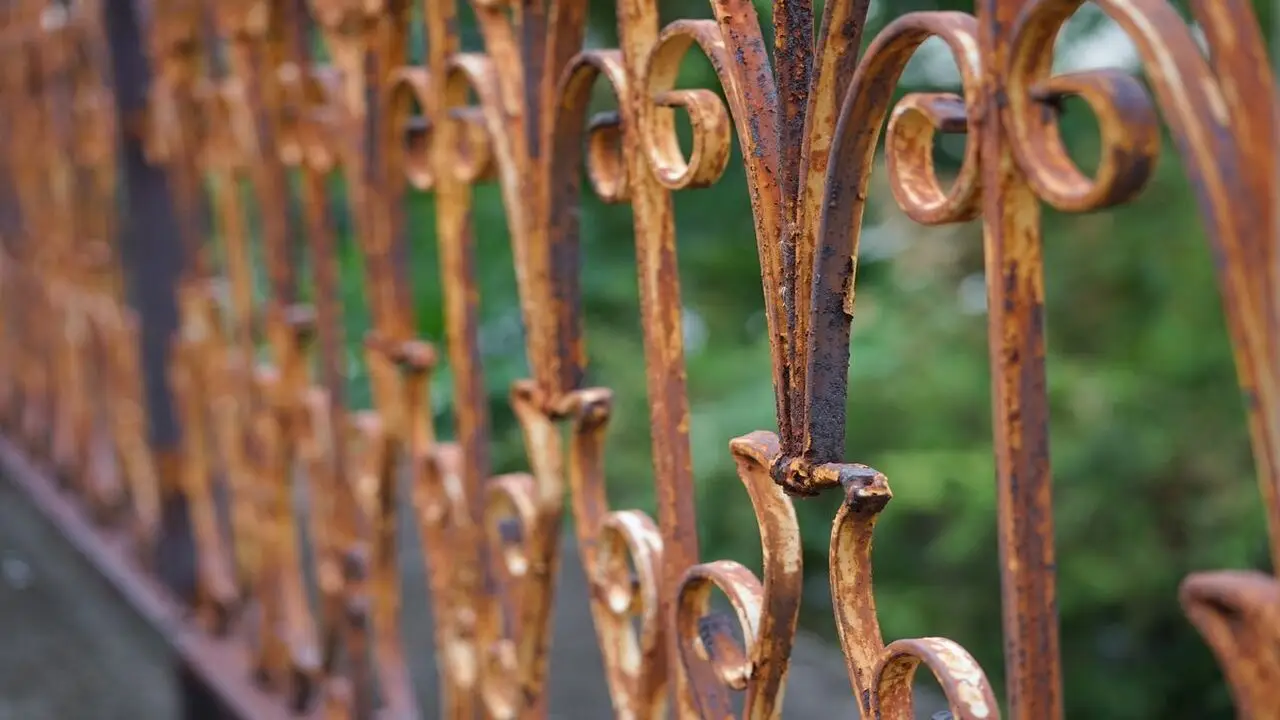 Recinti con giardino scatta l’obbligo di avvisare i vicini per legge Immagine selezionata