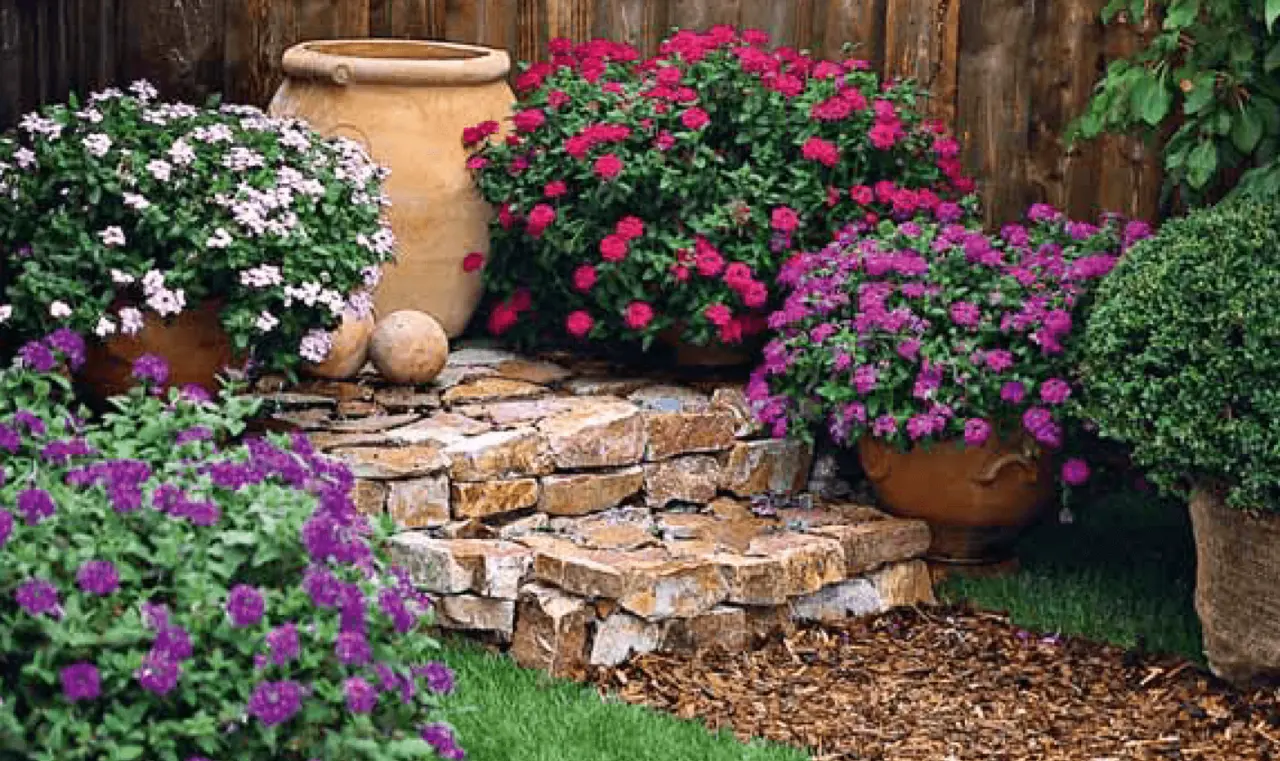 Questa pianta nel tuo giardino può mettere a rischio anche il tuo albero più amato