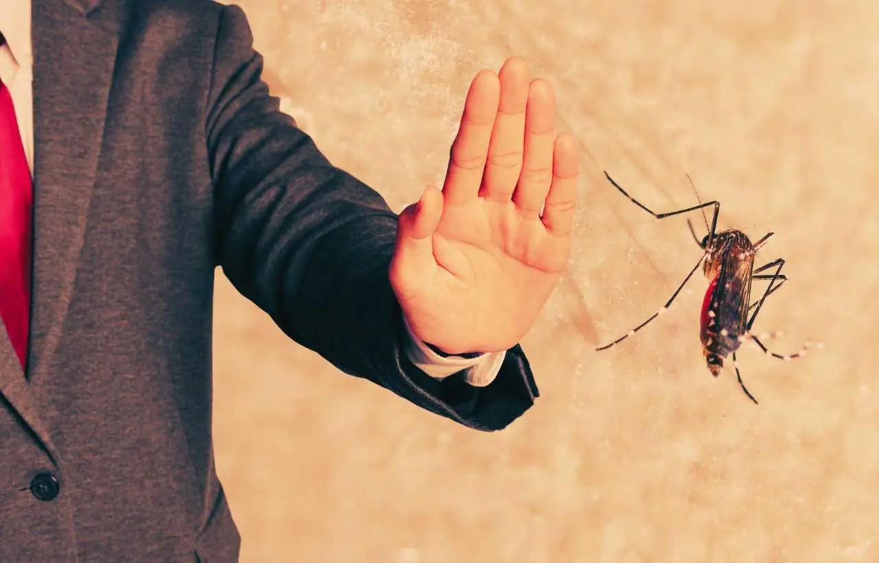 Repellente antizanzare efficace a costo zero e facile da preparare in casa Repellente antizanzare efficace a costo zero e facile da preparare in casa