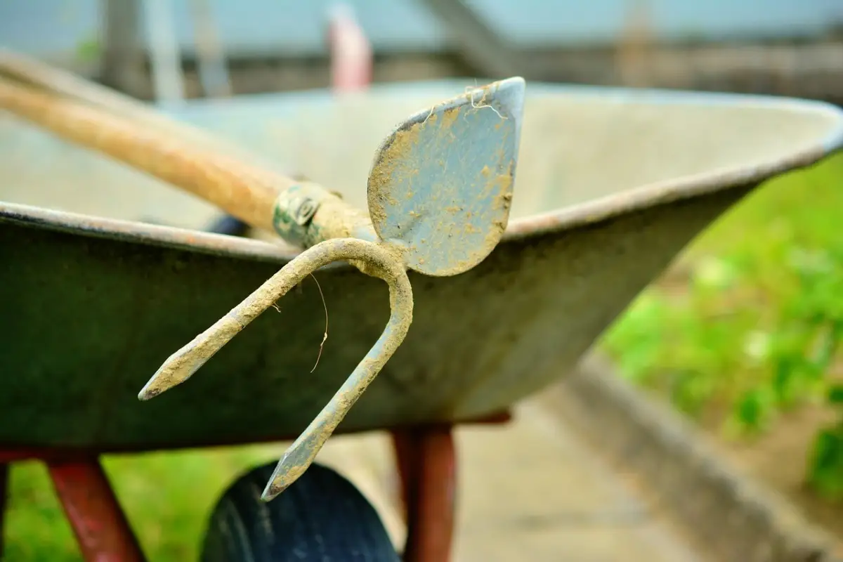 Come disinfettare gli attrezzi da giardino: ecco il metodo corretto Immagine selezionata