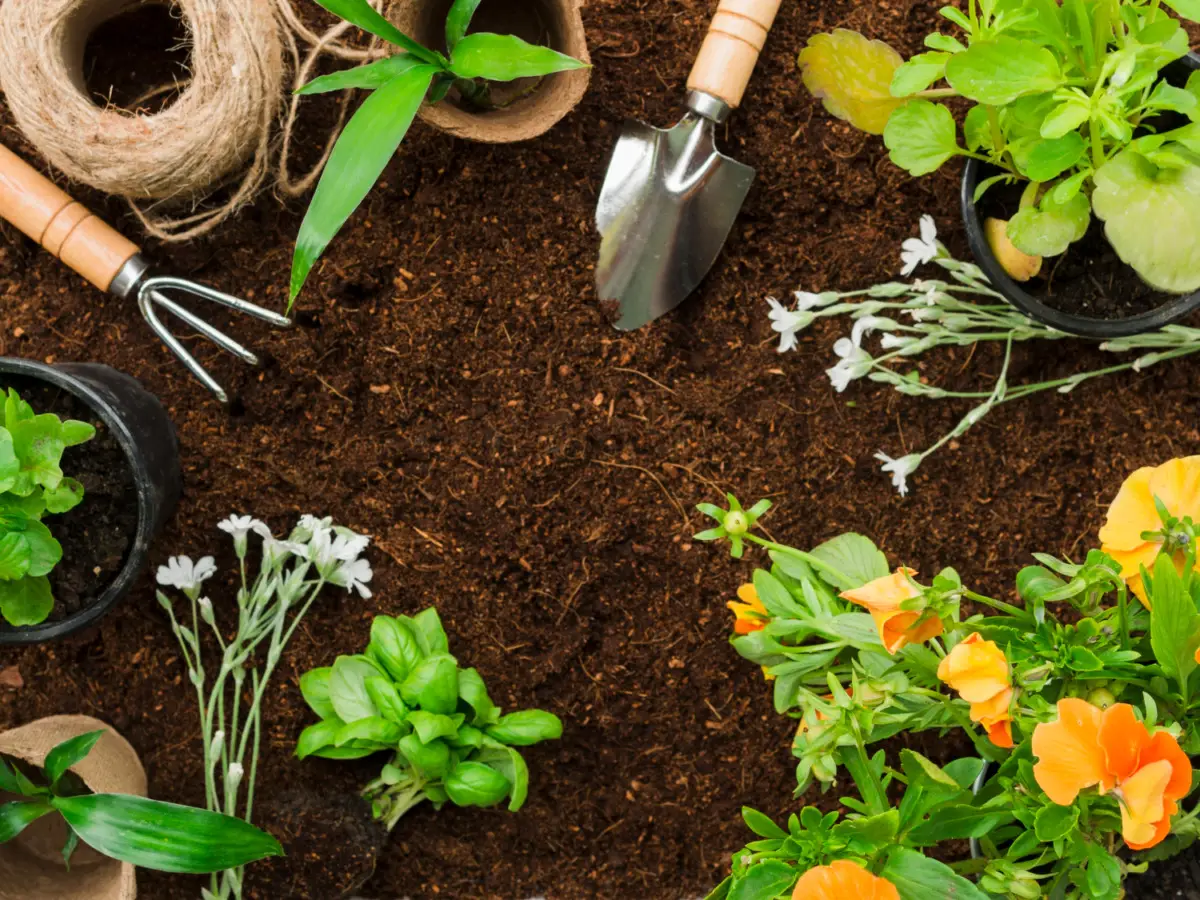 Come disinfettare gli attrezzi da giardino: ecco il metodo corretto Immagine selezionata