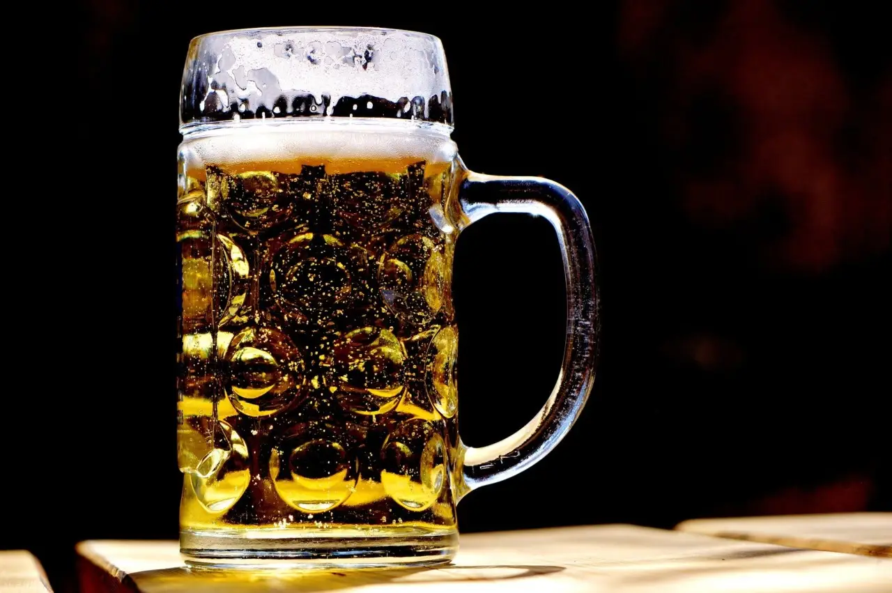 Birra alleata contro le lumache ecco come utilizzarla per catturarle Birra alleata contro le lumache ecco come utilizzarla per catturarle