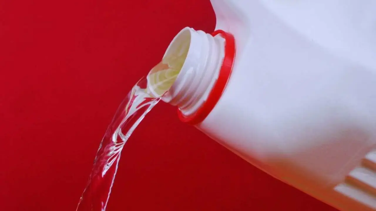Guida pratica per una pulizia sicura ed efficace del bidet Guida pratica per una pulizia sicura ed efficace del bidet