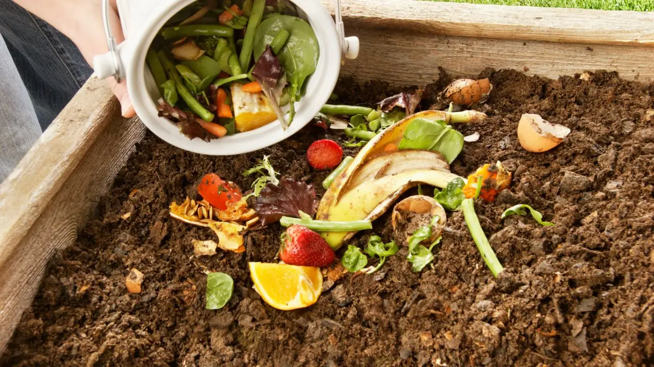 Come preparare un compost naturale efficace con gli scarti di cucina: guida pratica Come preparare un compost naturale efficace con gli scarti di cucina: guida pratica