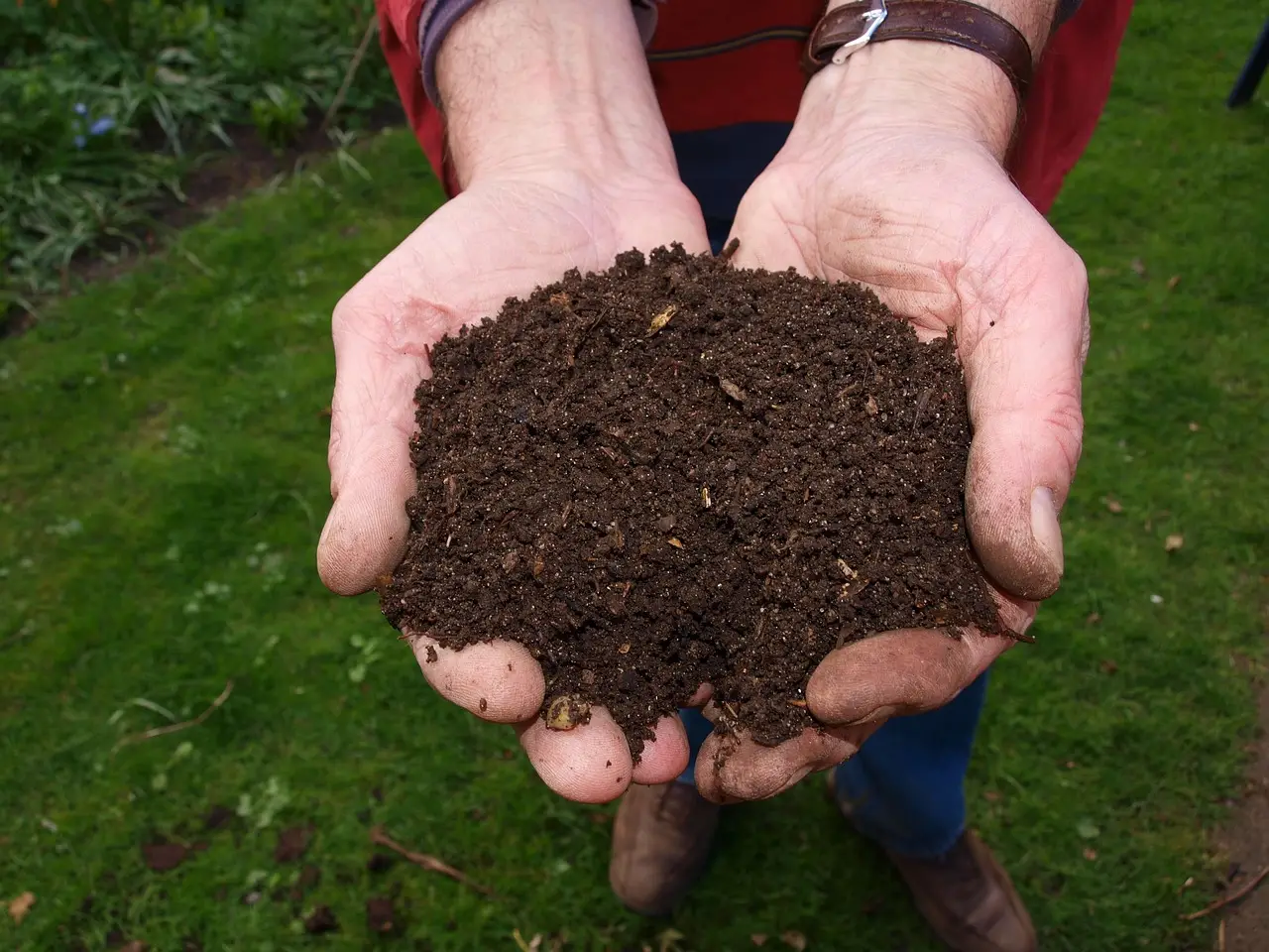 Come preparare un compost naturale efficace con gli scarti di cucina: guida pratica Come preparare un compost naturale efficace con gli scarti di cucina: guida pratica