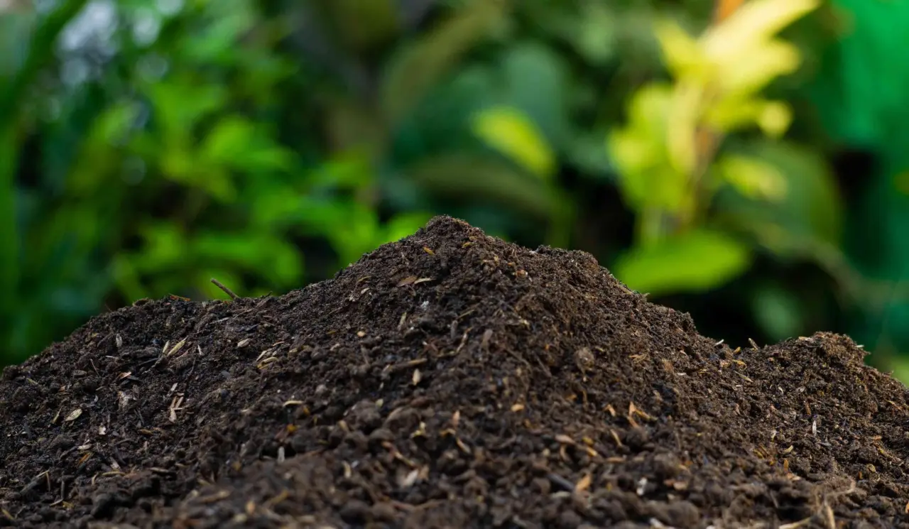 Come preparare un compost naturale efficace con gli scarti di cucina: guida pratica Come preparare un compost naturale efficace con gli scarti di cucina: guida pratica