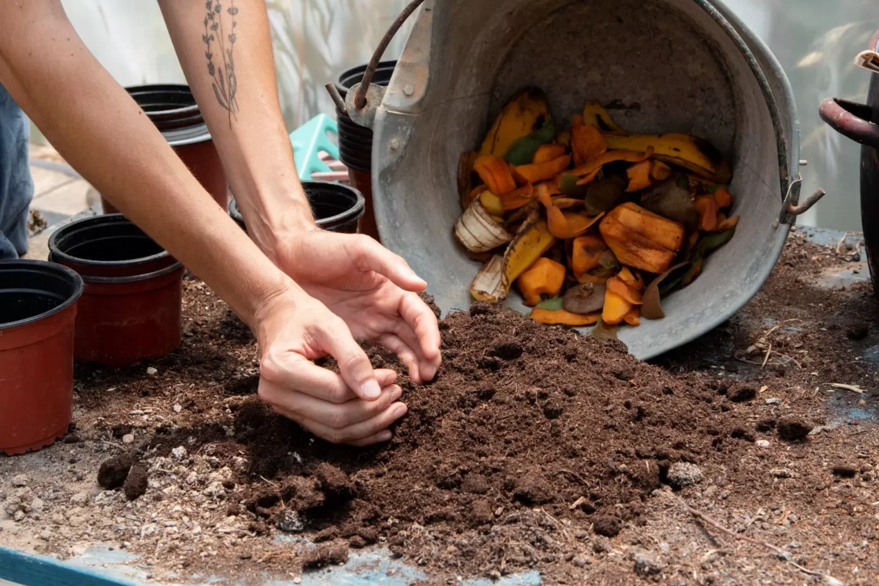 Come preparare un compost naturale efficace con gli scarti di cucina: guida pratica Come preparare un compost naturale efficace con gli scarti di cucina: guida pratica