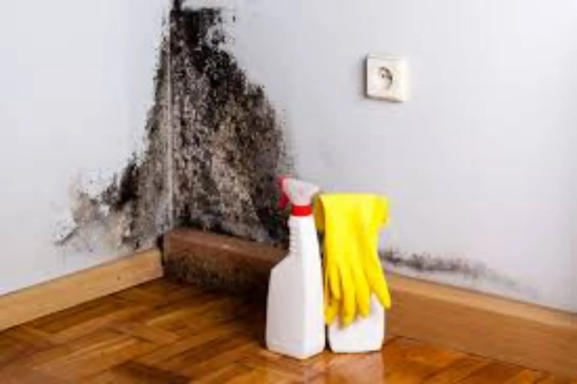 Come prevenire la muffa nei muri dopo l’inverno: strategie dell’ingegnere edile Come prevenire la muffa nei muri dopo l’inverno: strategie dell’ingegnere edile