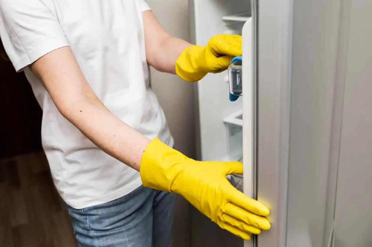 Guarnizioni del frigorifero: tecniche per igienizzarle e prolungarne la durata Guarnizioni del frigorifero: tecniche per igienizzarle e prolungarne la durata