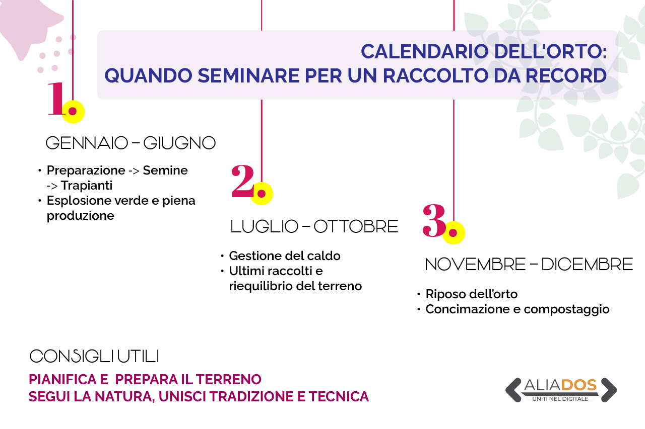 Quando seminare l’orto? Il calendario segreto per un raccolto da sogno Immagine selezionata